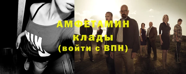 прущие грибы Армянск